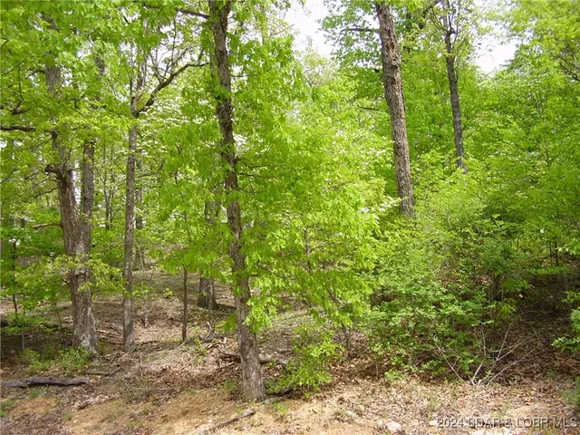 $9,000 | Lot#22 Layman Avenue, Camdenton, MO 65020