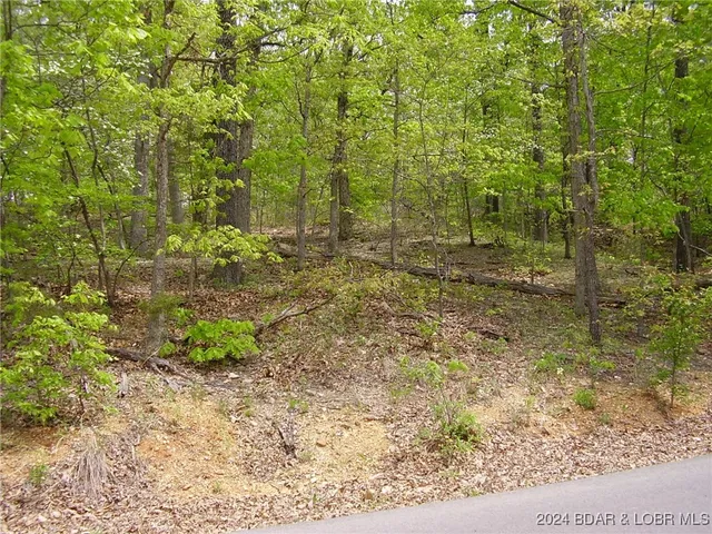 $9,000 | Lot#22 Layman Avenue, Camdenton, MO 65020