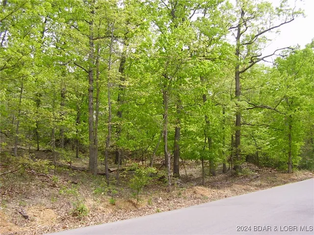 $9,000 | Lot#22 Layman Avenue, Camdenton, MO 65020