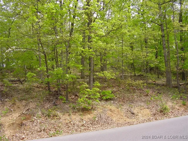 $9,000 | Lot#22 Layman Avenue, Camdenton, MO 65020