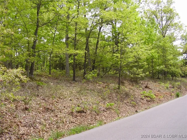 $9,000 | Lot#22 Layman Avenue, Camdenton, MO 65020
