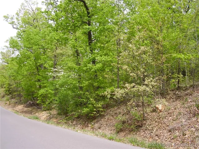 $9,000 | Lot#22 Layman Avenue, Camdenton, MO 65020