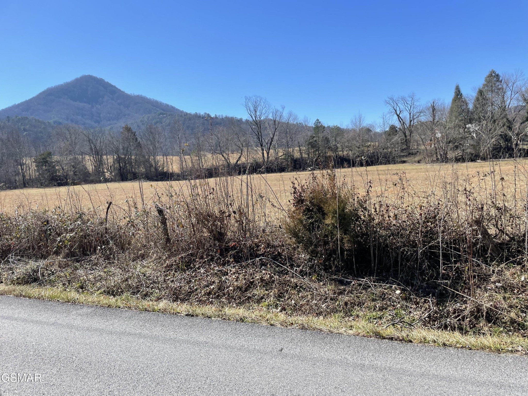456 Line Springs Road Sevierville, TN 37862 - Photo 1 of 5