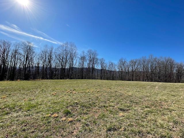 535 Ridgeview Drive Cana, VA 24317 - Photo 14 of 18 Gallery Image 14