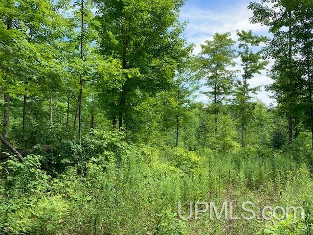 Tbd M69 Nadeau, MI 49863 - Photo 10 of 14