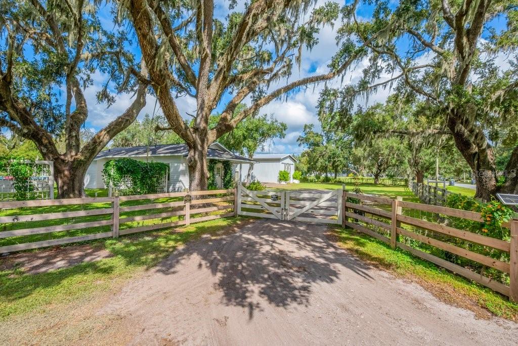 3011 Lewis Road Dover, FL 33527 - Photo 56 of 56 Gallery Image 56