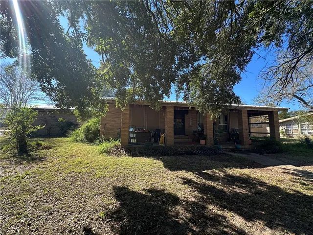 a view of a backyard with a large tree