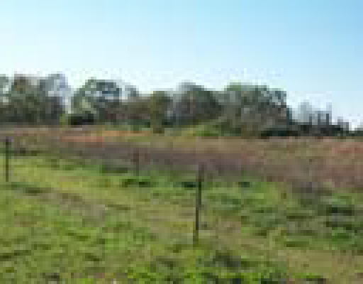 0 Robert Reed Road Royston, GA 30662 - Photo 1 of 1