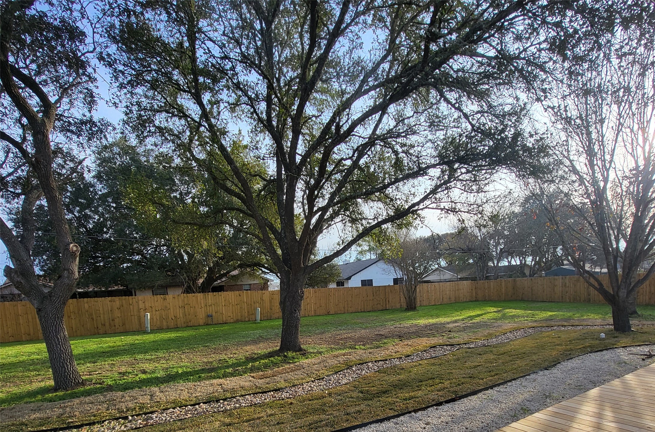 1608 Longhofer Street Brenham, TX 77833 - Photo 23 of 24 a view of a tree in a yard