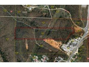 Tbd Purist Lane Reeds Spring, MO 65737 - Photo 1 of 1 Aerial View