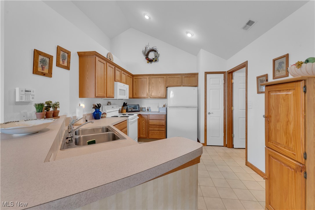 9151 Springfield Road, Unit 1001 Youngstown, OH 44514 - Photo 5 of 32 Gallery Image 5