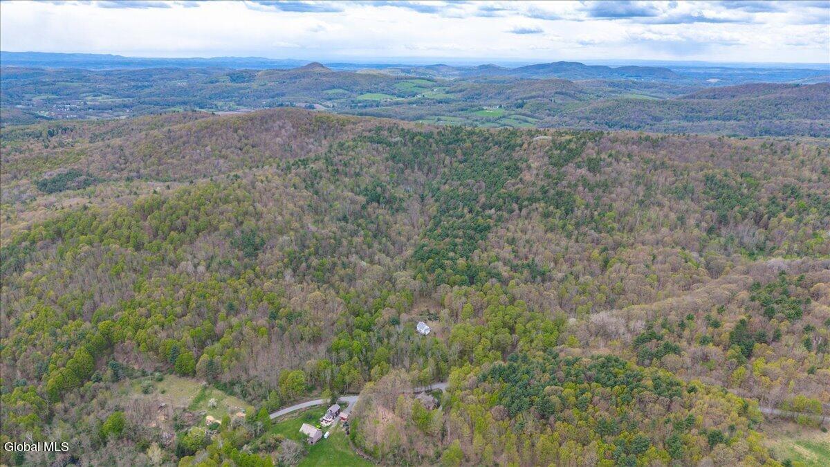 235 Colfax Road Jackson, NY 12816 - Photo 44 of 53 54-235 Colfax Rd-11