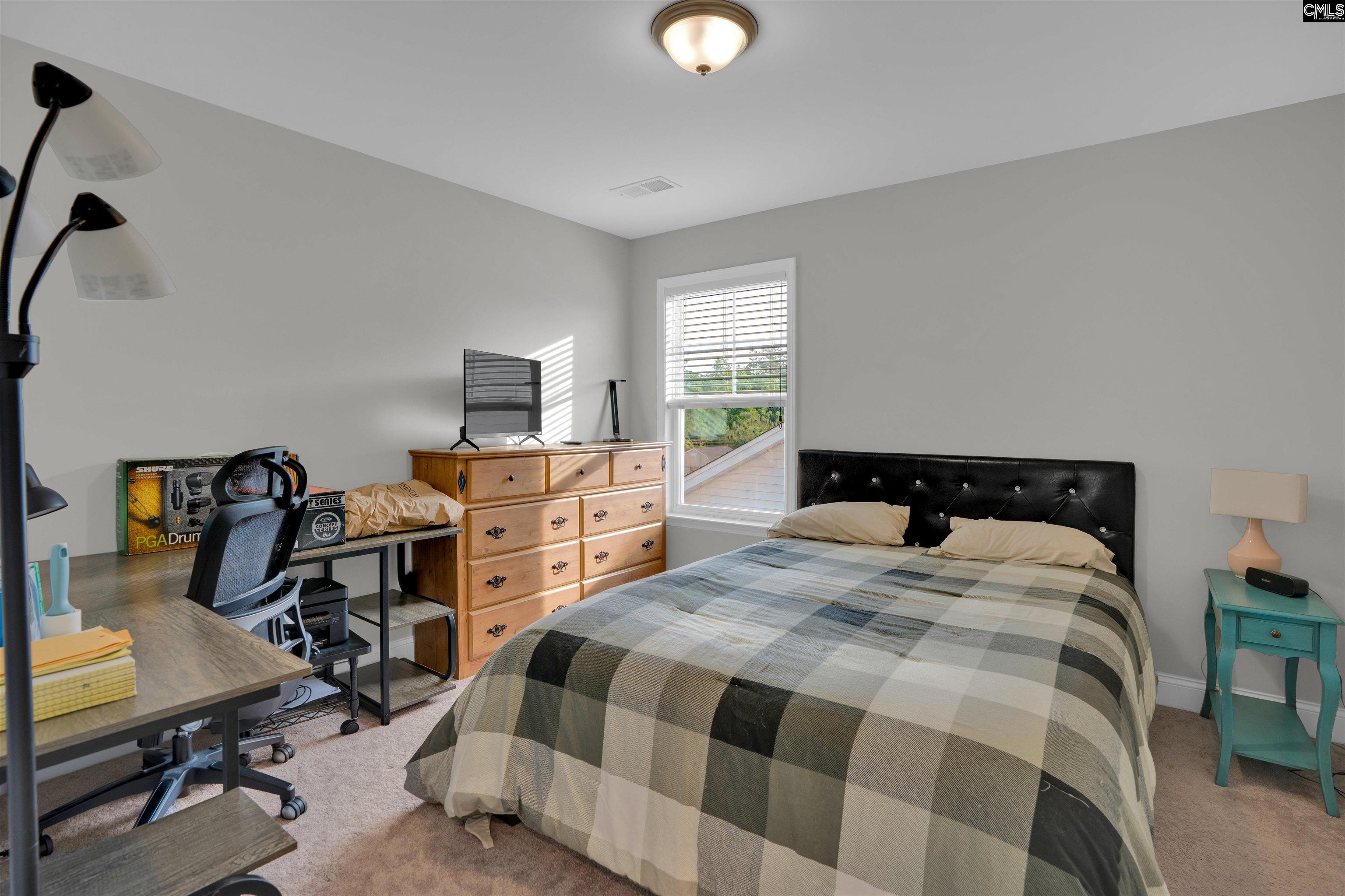 432 Thayer Street Chapin, SC 29036 - Photo 40 of 68