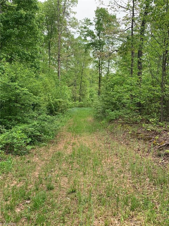 1106 Neal Road Walnut Cove, NC 27052 - Photo 24 of 27 Gallery Image 24