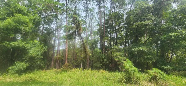$8,000 | 422 Dogwood Avenue, Georgetown, FL 32139