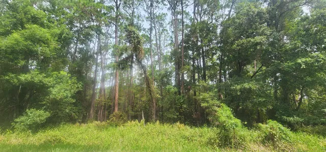 $11,900 | 422 Dogwood Avenue, Georgetown, FL 32139