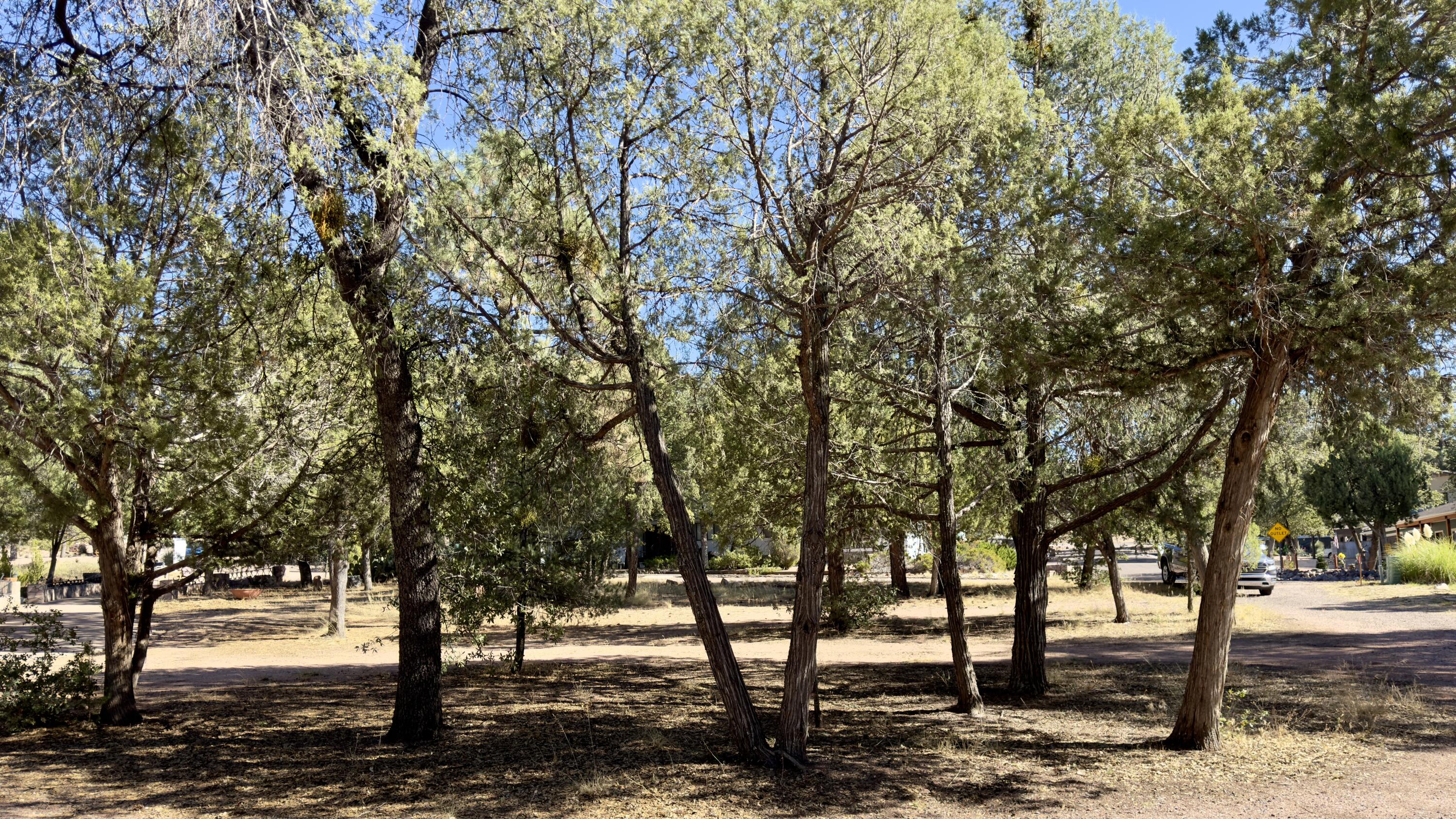 1428 North Easy Street Payson, AZ 85541 - Photo 9 of 12