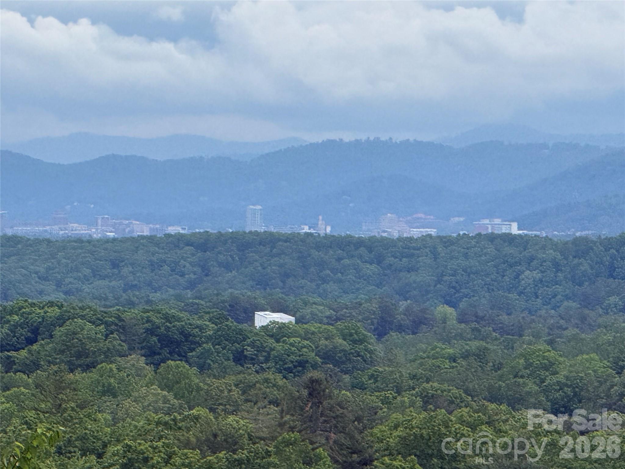 16 Pine Ridge Trail Arden, NC 28704 - Photo 2 of 15 a view of a green field
