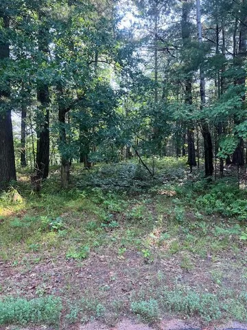 $5,995 | Lot 91 Three Mile Road, Danbury, WI 54830