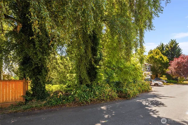 a view of a street with a trees
