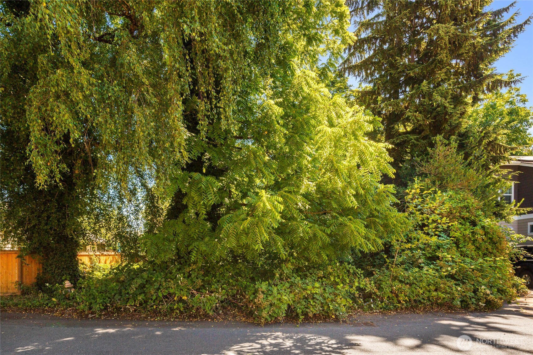 315 Lind Avenue Northwest Renton, WA 98057 - Photo 2 of 3 a backyard of a house with lots of green space