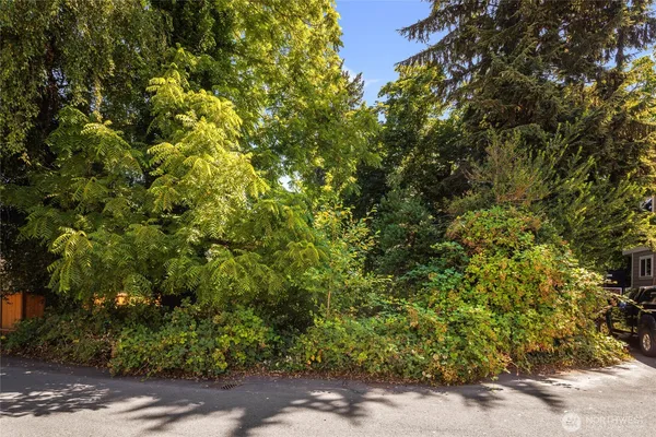a backyard of a house with a tree