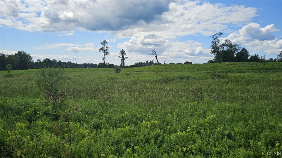 8083 Link Road Rome, NY 13440 - Photo 2 of 4