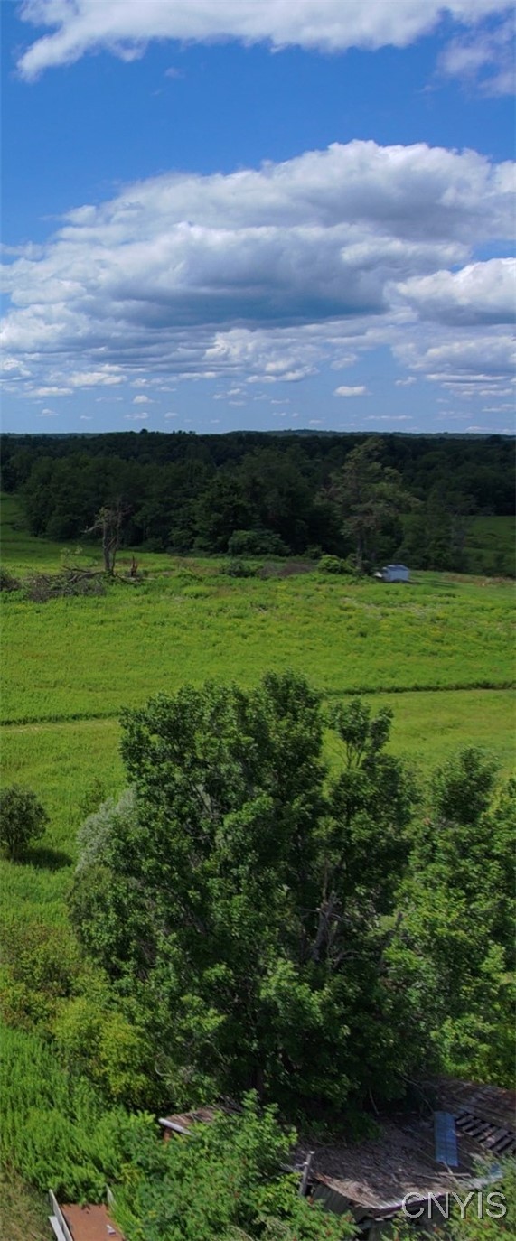 8083 Link Road Rome, NY 13440 - Photo 3 of 4