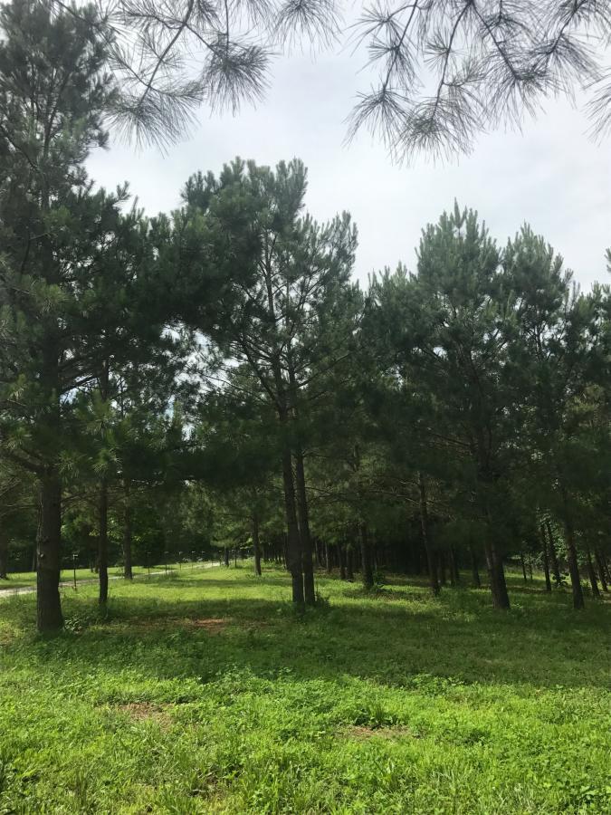 540 Plunders Creek Road Dickson, TN 37055 - Photo 18 of 19