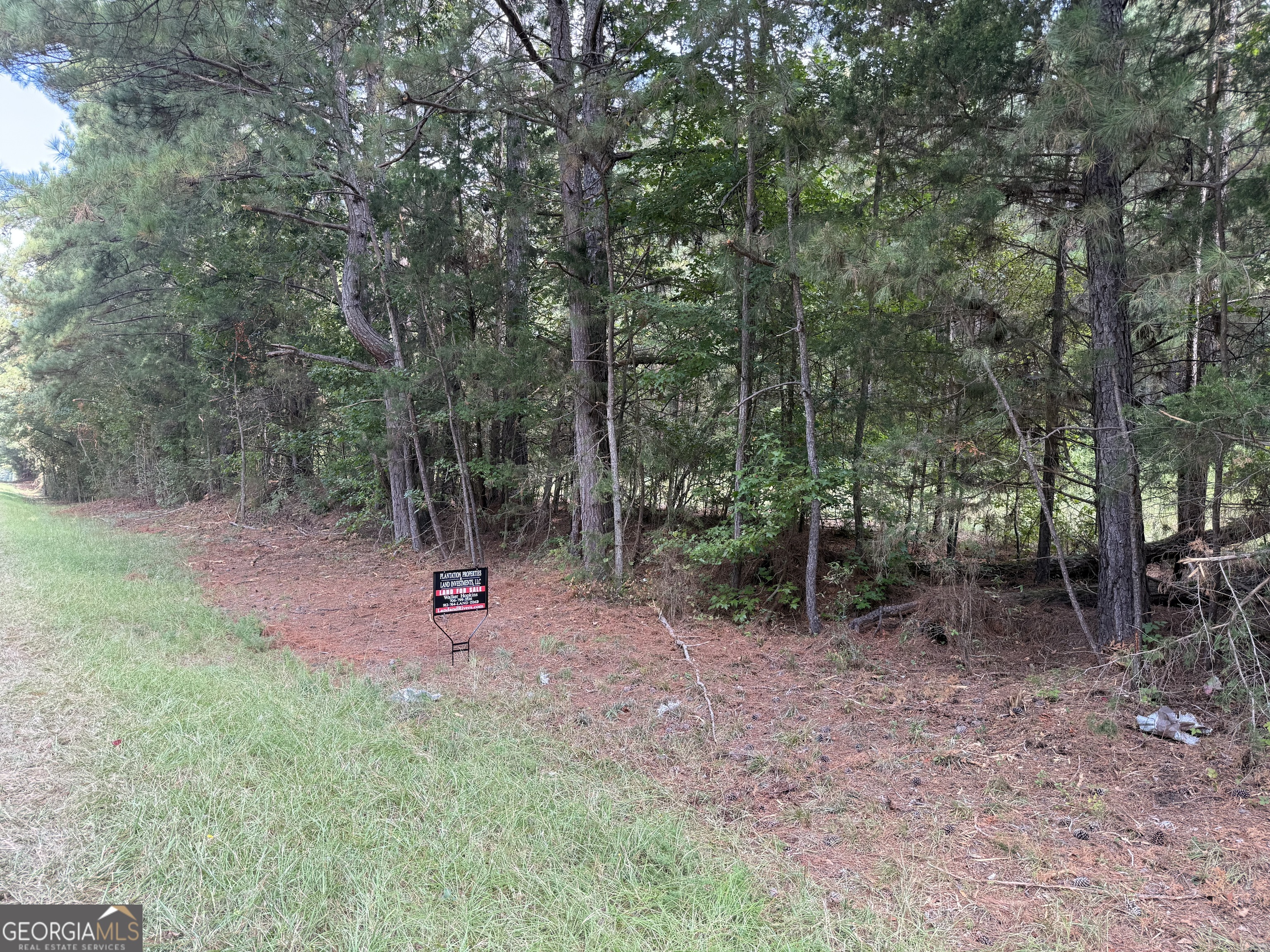 a view of park with trees