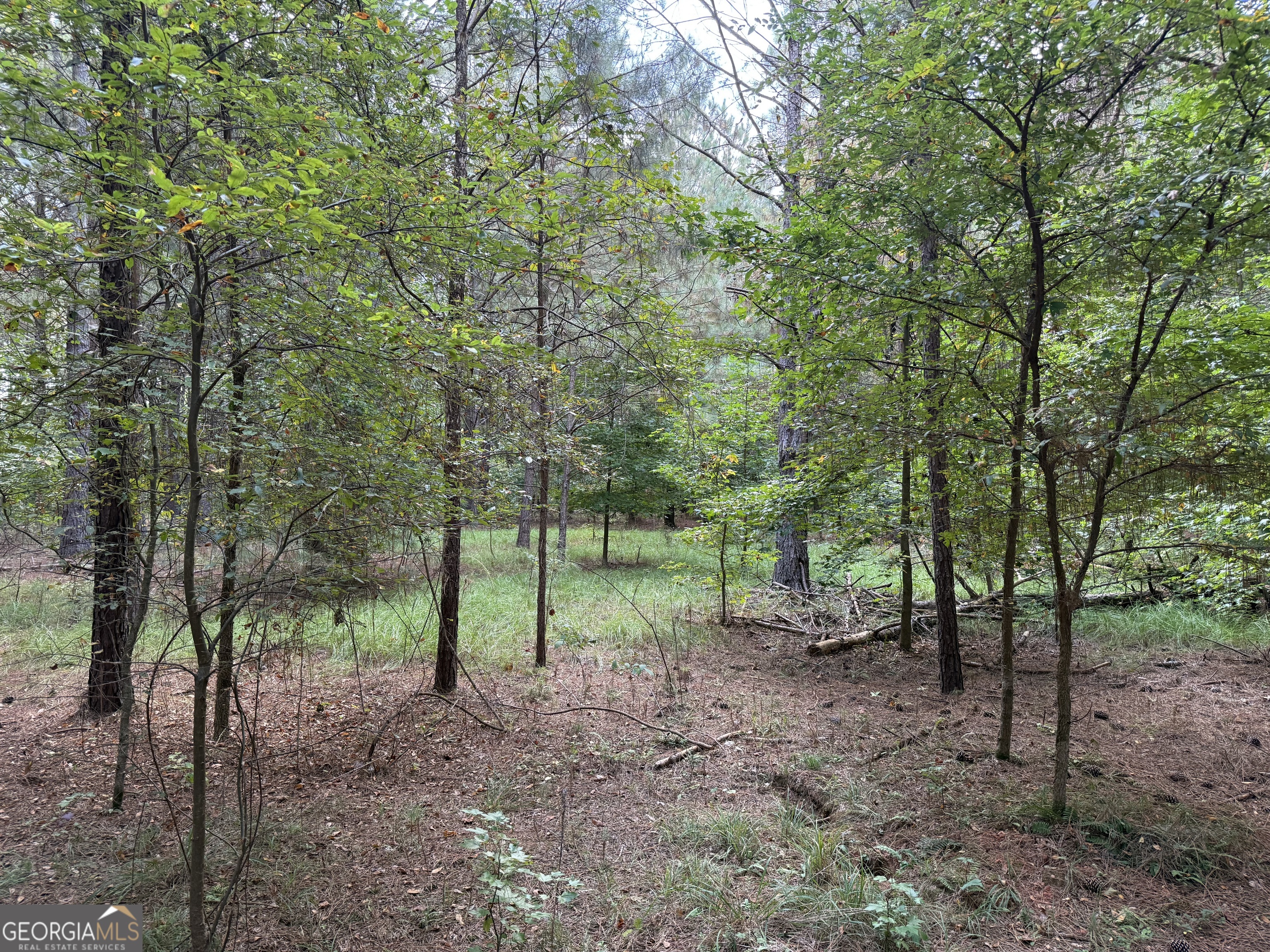 0 C E Norman Road Lincolnton, GA 30817 - Photo 3 of 9 a view of outdoor space and trees