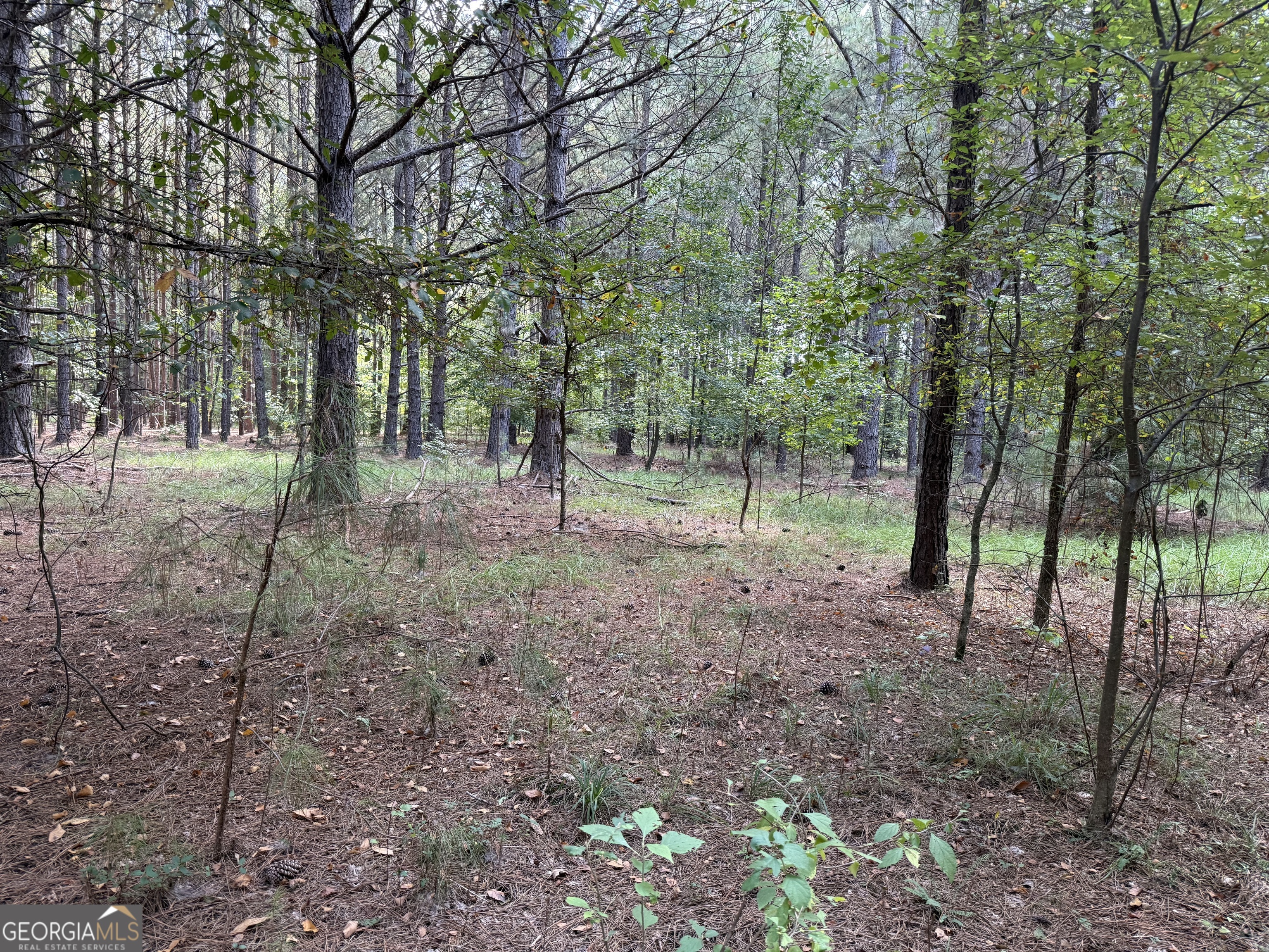 0 C E Norman Road Lincolnton, GA 30817 - Photo 4 of 9 a view of outdoor space with trees