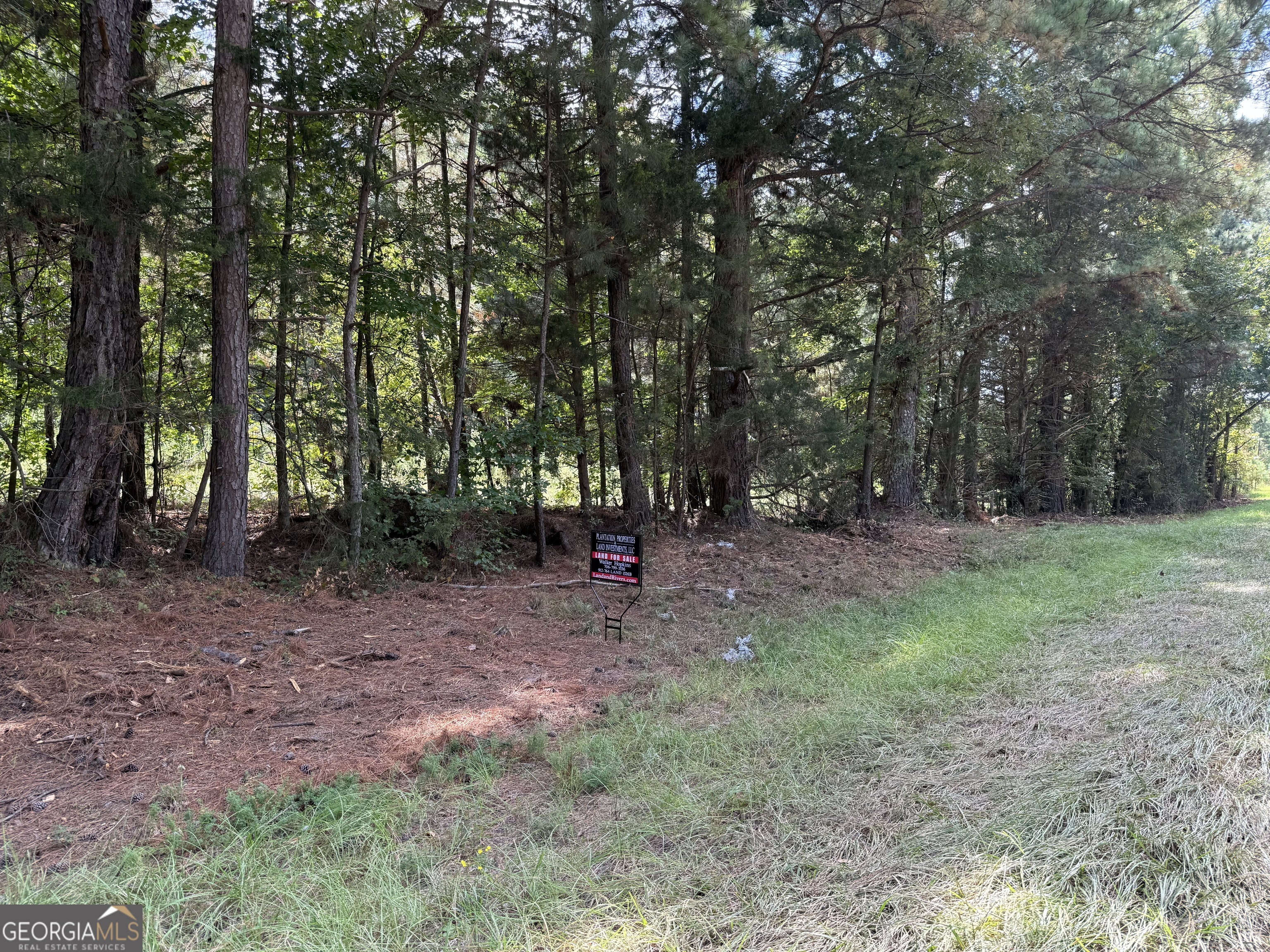 0 C E Norman Road Lincolnton, GA 30817 - Photo 6 of 9 a view of outdoor space with trees