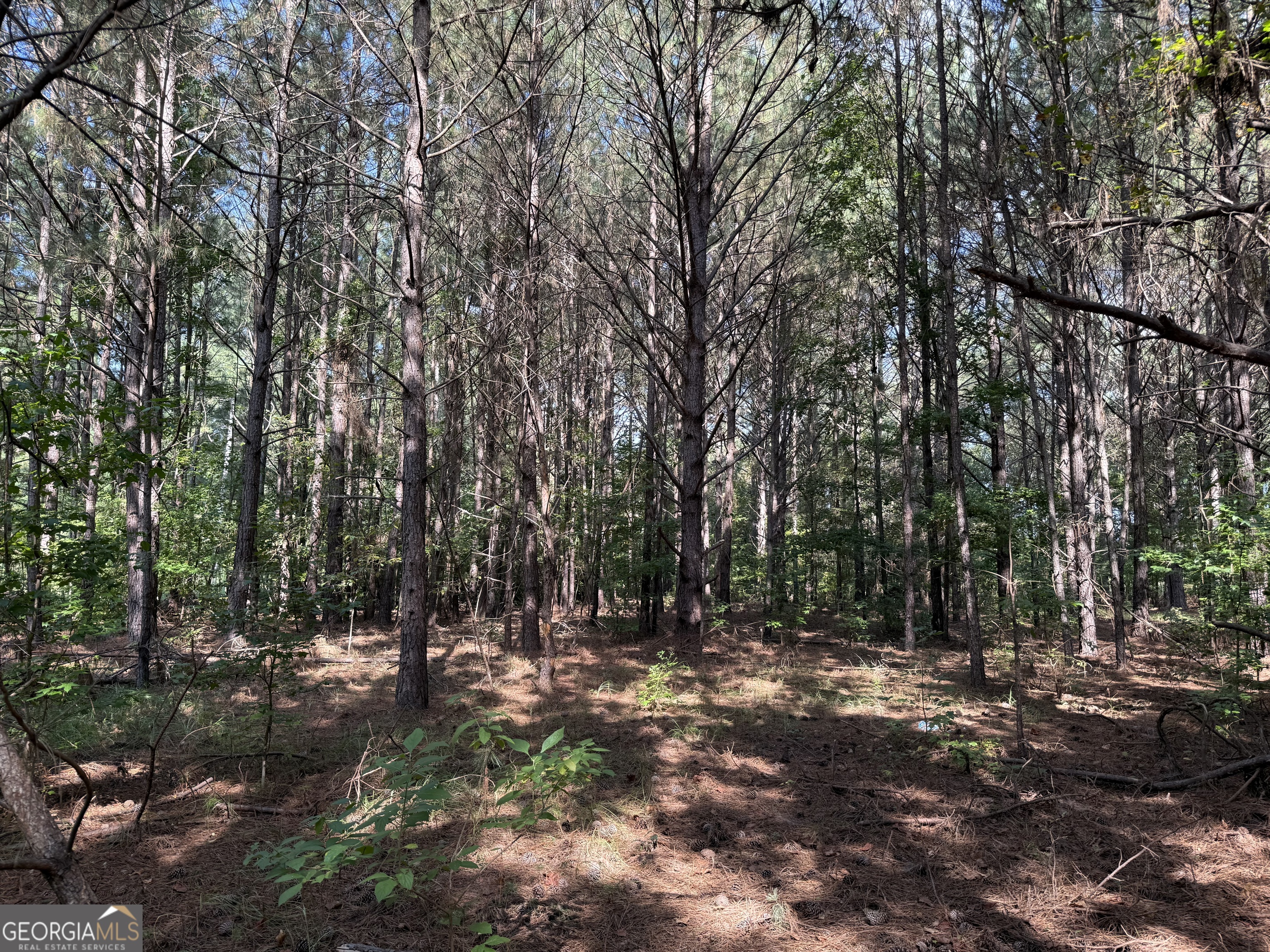0 C E Norman Road Lincolnton, GA 30817 - Photo 8 of 9 a view of outdoor space with green space