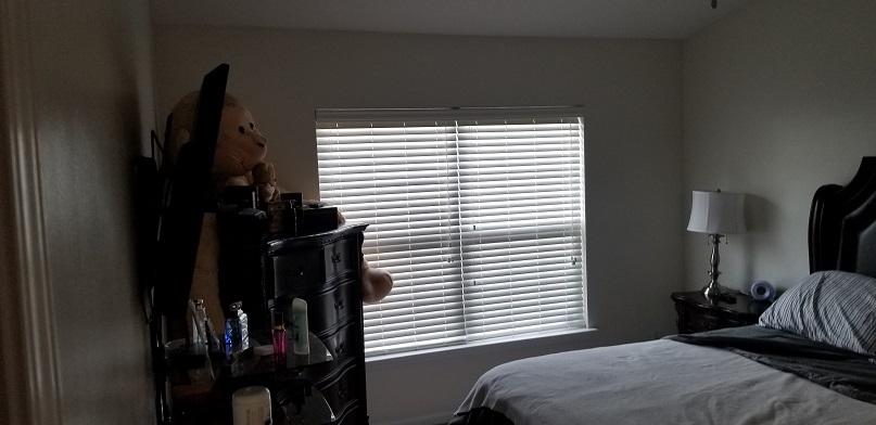 255 Island Green Road Goose Creek, SC 29445 - Photo 11 of 12 Master Bedroom - 255 Island Green Road 2