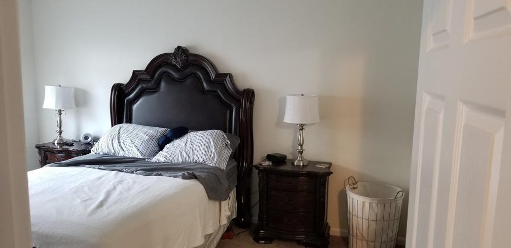 255 Island Green Road Goose Creek, SC 29445 - Photo 10 of 12 Master Bedroom - 255 Island Green Road