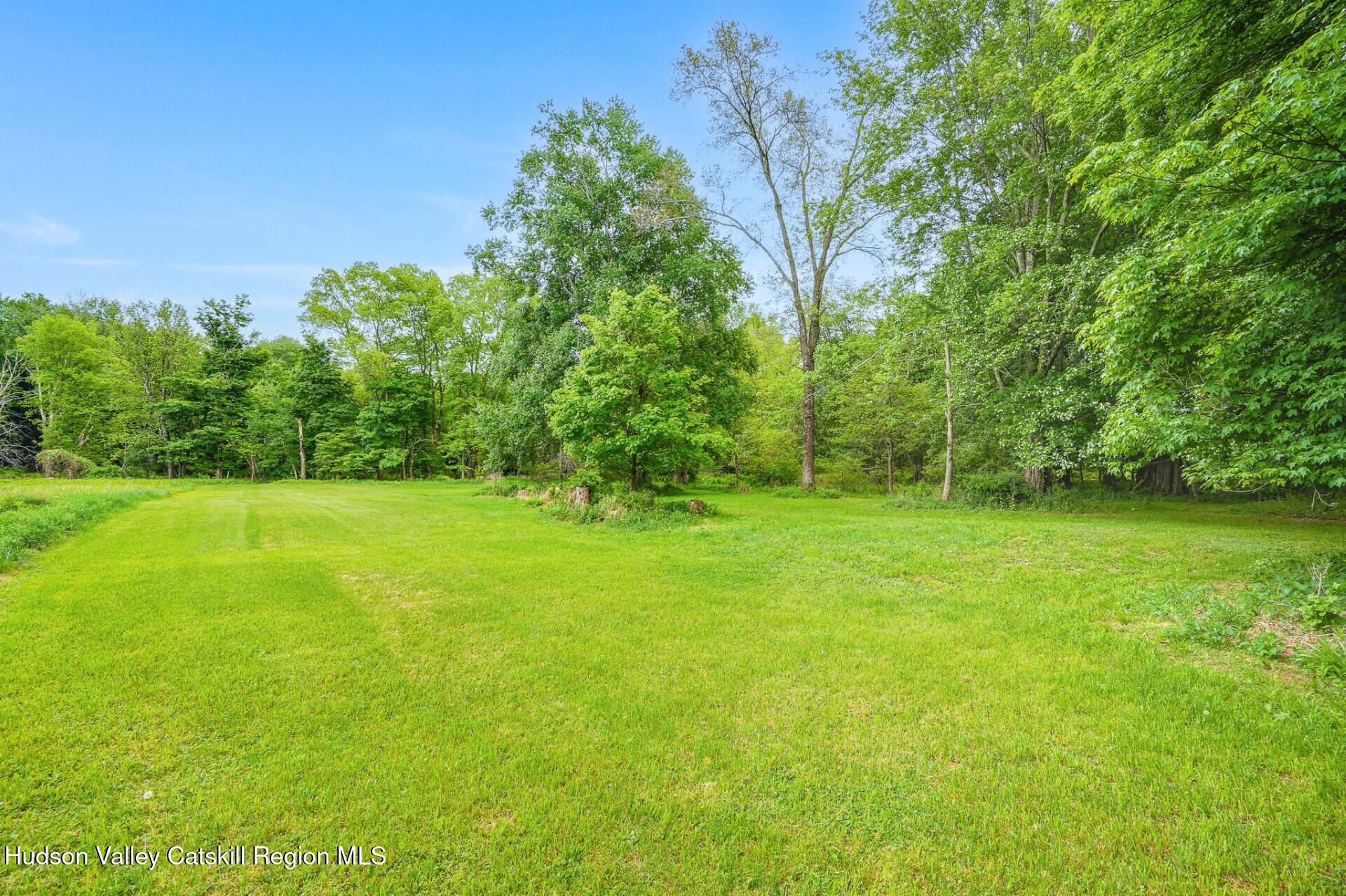 984 Blue Mountain Road Saugerties, NY 12477 - Photo 5 of 24 a view of a garden
