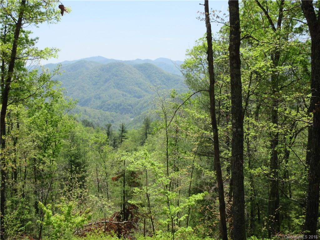 9 B Gentle Ridge Drive Crumpler, NC 28617 - Photo 1 of 8 Gallery Image 1
