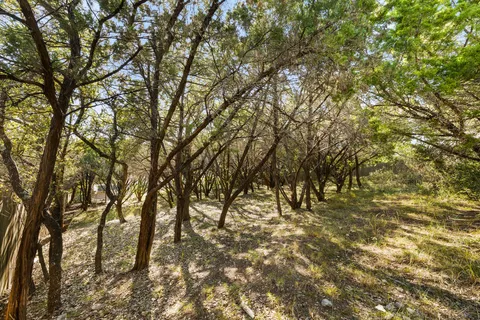 a kitchen with stainless steel appliances granite countertop a stove top oven a sink a refrigerator and white cabinets