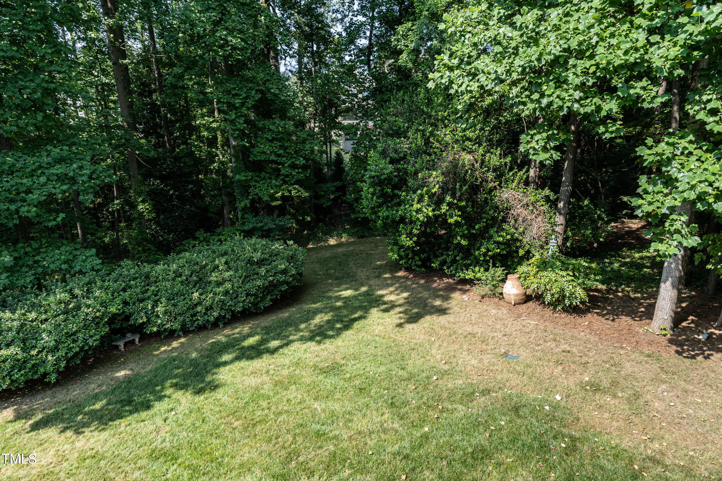 3341 Ridgecrest Court Raleigh, NC 27607 - Photo 24 of 26 a view of a forest with trees in front of it