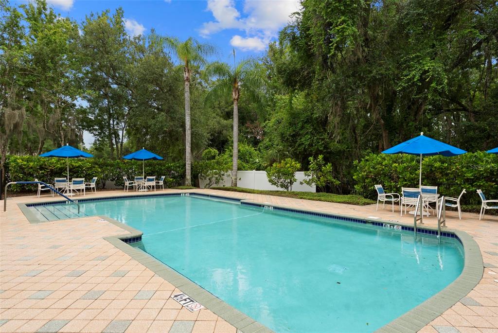 8557 Acorn Ridge Court Tampa, FL 33625 - Photo 48 of 48
