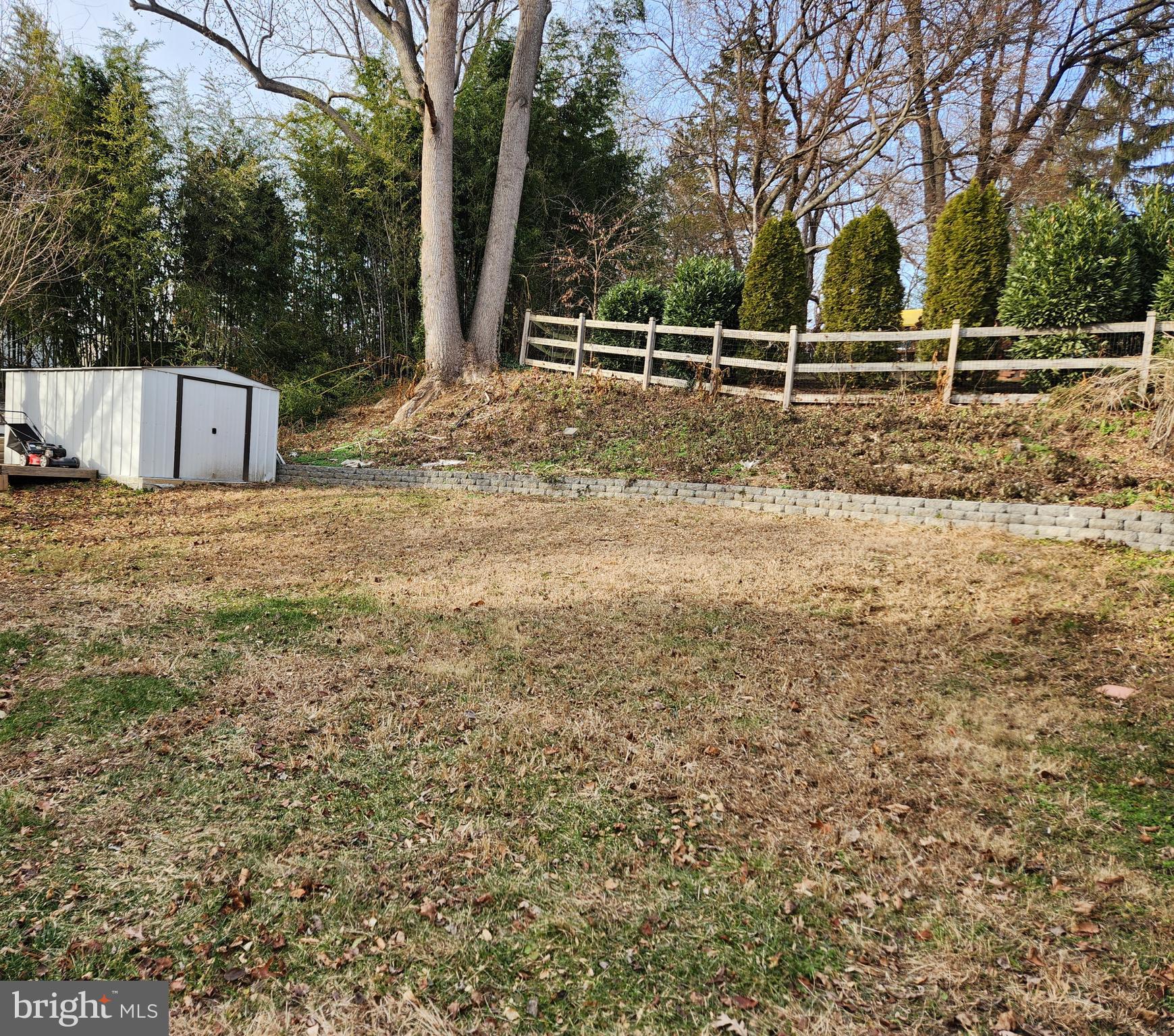 502 East Schuyler Road Silver Spring, MD 20901 - Photo 36 of 38 a backyard of a house with lots of green space