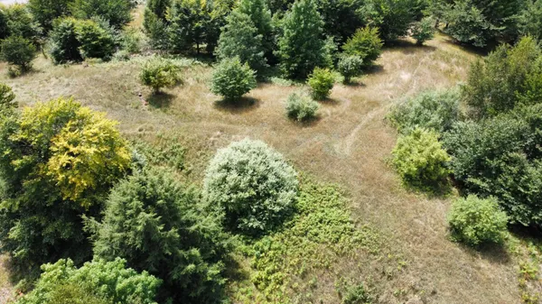 $49,000 | 86 North Slope Drive, Onekama, MI 49675