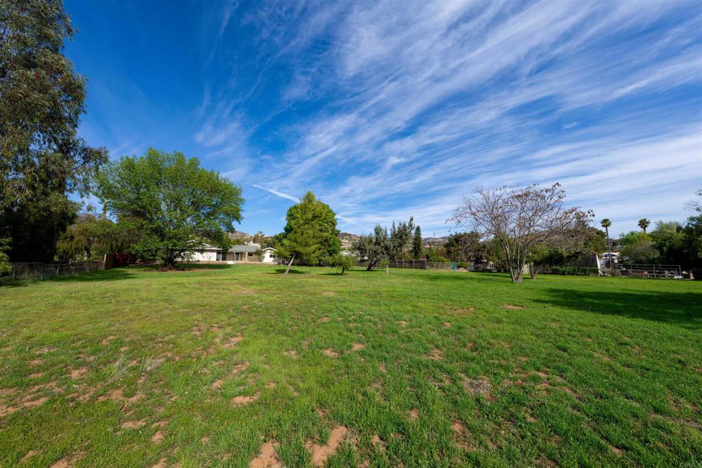 2073 Valley Rim Road El Cajon, CA 92019 - Photo 31 of 33 a view of a field with plants and trees