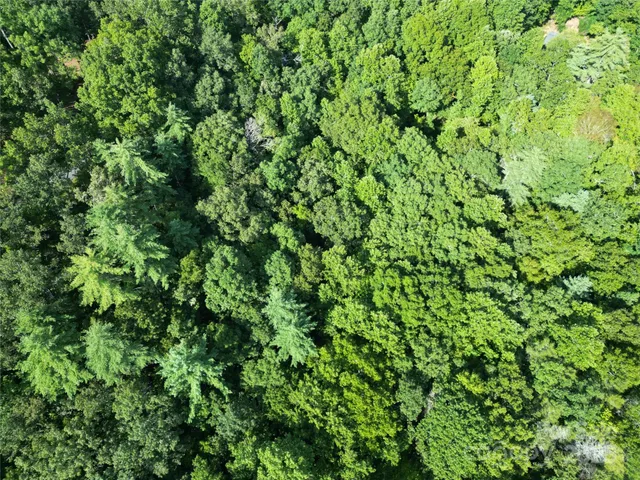 $10,900 | 0 Black Fox Drive, Murphy, NC 28906