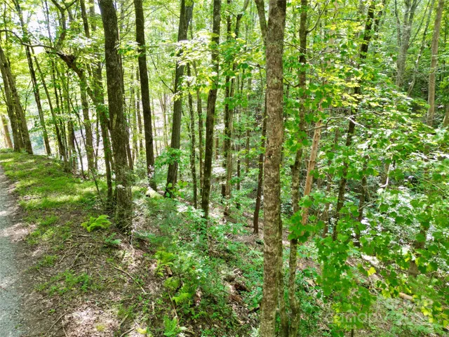 $10,900 | 0 Black Fox Drive, Murphy, NC 28906