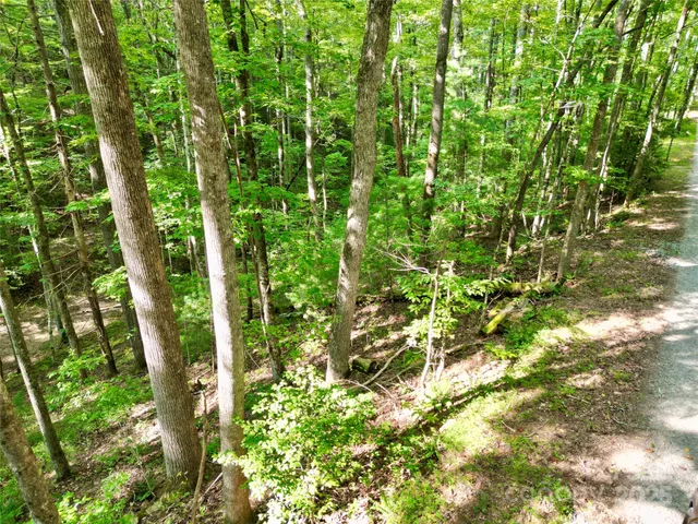 $10,900 | 0 Black Fox Drive, Murphy, NC 28906