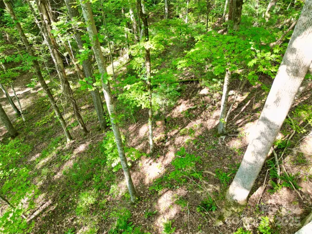 $10,900 | 0 Black Fox Drive, Murphy, NC 28906