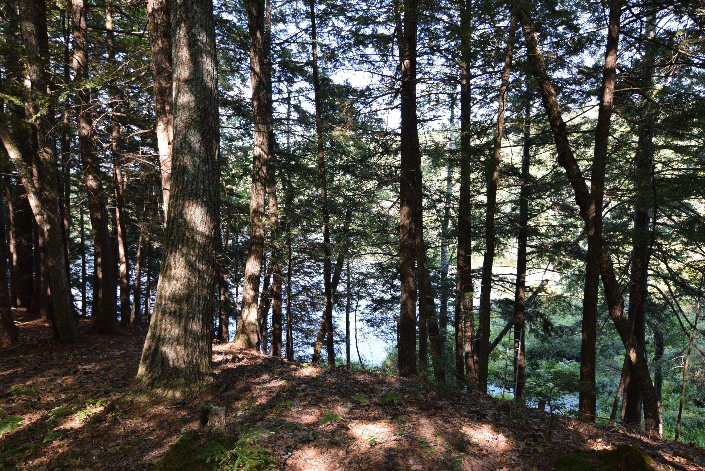 236 Chesterville Ridge Road Kents Hill, ME 04349 - Photo 31 of 41 31-water view