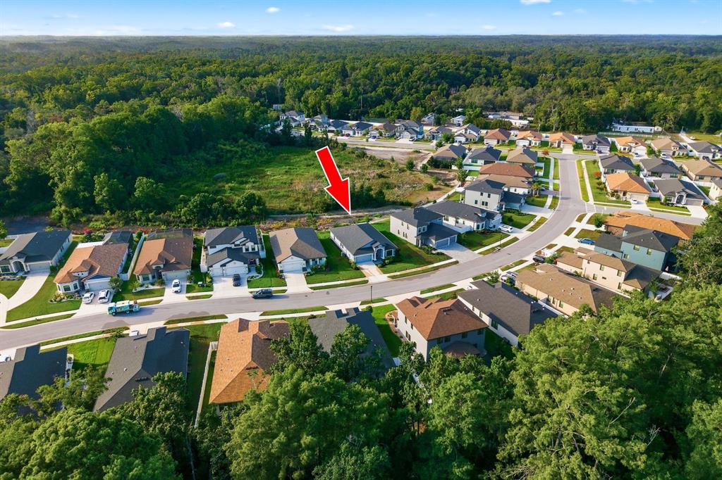 11392 Weaver Hollow Road New Port Richey, FL 34654 - Photo 29 of 30